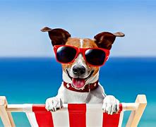 Image result for Bing Wallpaper Summer