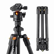 Image result for Camera Tripod with Ball Head