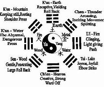 Image result for 13 Postures Tai Chi Chuan