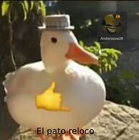 Image result for Huevos De Pato Meme