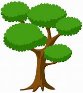 Image result for Tree Cartoon Vector Images