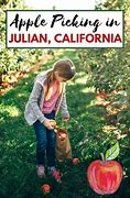 Image result for Julian Apple-Picking