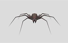 Image result for Spider Horror