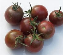 Image result for Solanum lycopersicum Black Cherry