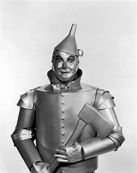 Image result for Tin Man Robot