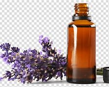 Image result for Aromatherapy PNG