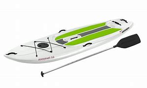 Image result for Sun Dolphin 12 No Paddle