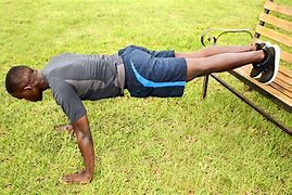 Image result for Push-Up Plank