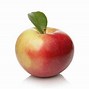 Image result for Zestar Apple Leaves
