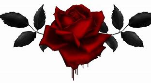 Image result for Fancy Black and Red Rose Wallpaper