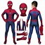 Image result for Amazing Spider-Man Costume