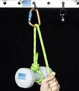 Image result for Belay Carabiner