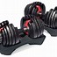 Image result for Bowflex Weights