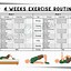 Image result for Printable Core Exercises for Men