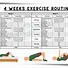 Image result for Best Core Exercises for Seniors