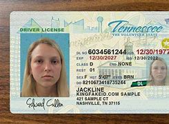 Image result for Fake IDs TN
