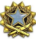 Image result for CS GO Service Medal