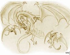 Image result for Wyvern vs Dragon