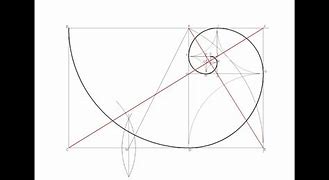 Image result for Golden Ratio Flora Collage