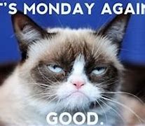 Image result for Grumpy Cat Monday