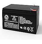 Image result for Drive Scooter Battery