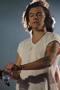 Image result for Prince Hair Harry Styles