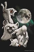 Image result for Three Wolf Moon Meme