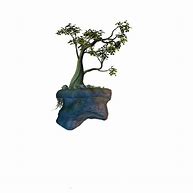Image result for Island Tree PNG