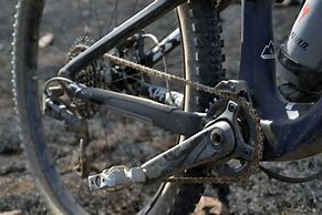 Image result for Project Debut Carbon EVO