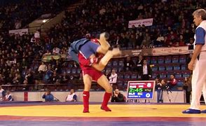 Image result for Russian Sambo