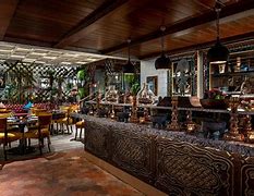 Image result for coya