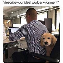 Image result for Dog in Office Meme