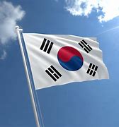 Image result for South Korea Flag