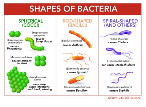 Image result for Alien Genes Chart