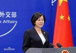 Image result for 女发言人
