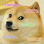 Image result for Shiba Doge Meme