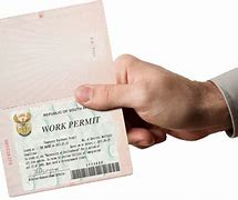 Image result for Fake Work Permit South Africa