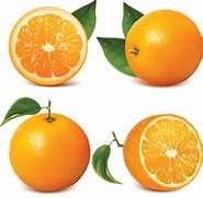 Image result for 4 Oranges Clip Art