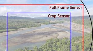 Image result for Full Frame vs Crop Sensor