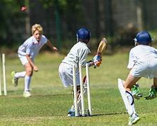 Image result for Cricket Related Games for Kids