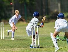 Image result for Cricket Games Kids