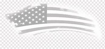 Image result for U.S. Flag