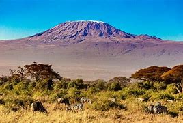 Image result for Mount Kilimanjaro