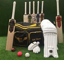Image result for Cricket Kit Imagage
