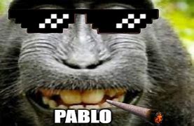 Image result for Pablo Dog Meme