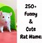 Image result for Funny Rat Names