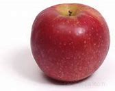Image result for Apple Dwarf Jonathan