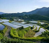 Image result for Rural Landscape in Japan
