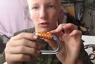 Image result for Climbing Carabiner South Africa
