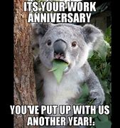 Image result for Happy 20 Year Work Anniversary Meme